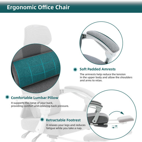 Inbox Zero Hrinder Ergonomic Mesh Task Chair with Footrest & Reviews